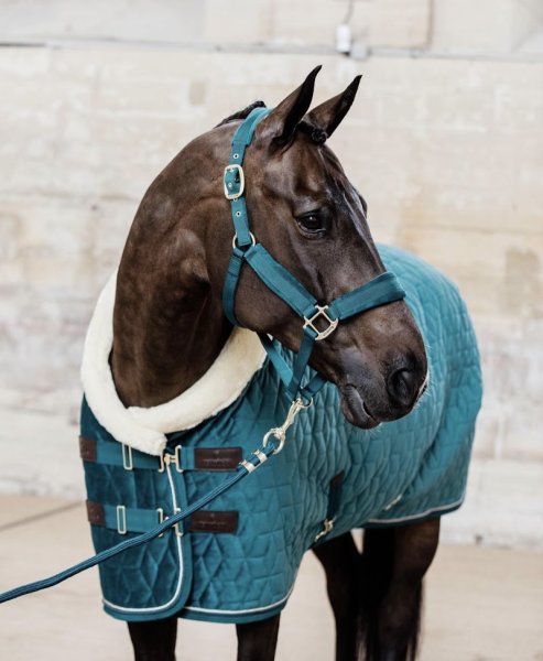 FOOLFASHION (Martigny) Ecurie Panwall - photo 2