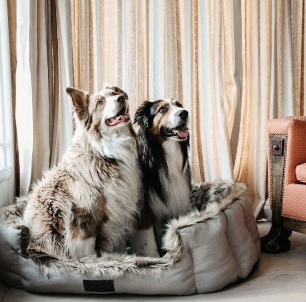 FOOLFASHION (Martigny) Ecurie Panwall - photo 3