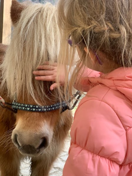 Ecole Du Cheval Heureux - photo 1