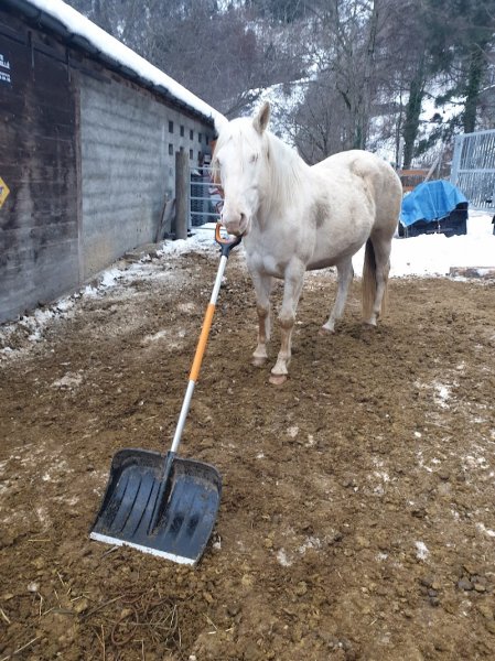 Ecole Du Cheval Heureux - photo 3