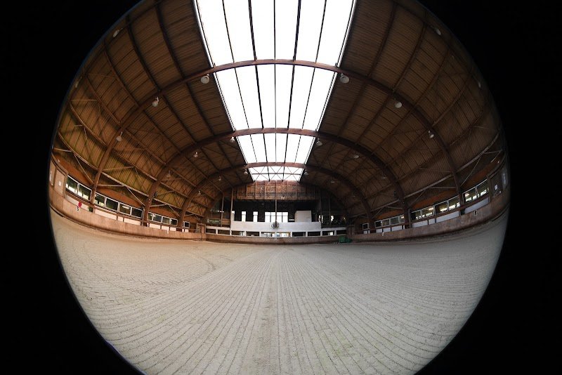 Centre Équestre de Buzenval- Poney club Rueil Malmaison/ Écurie de propriétaires - photo 1