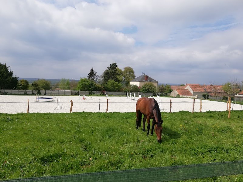 Haras des Cosmiques - photo 1