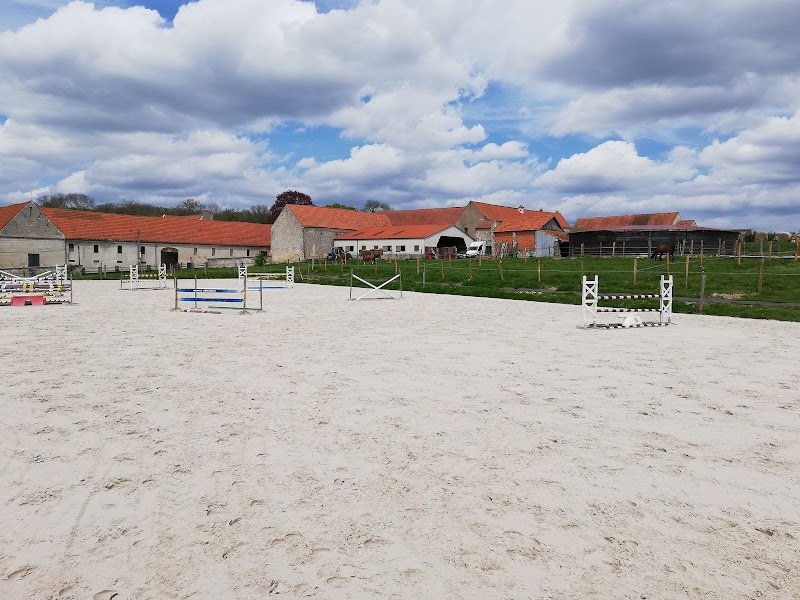 Haras des Cosmiques - photo 2