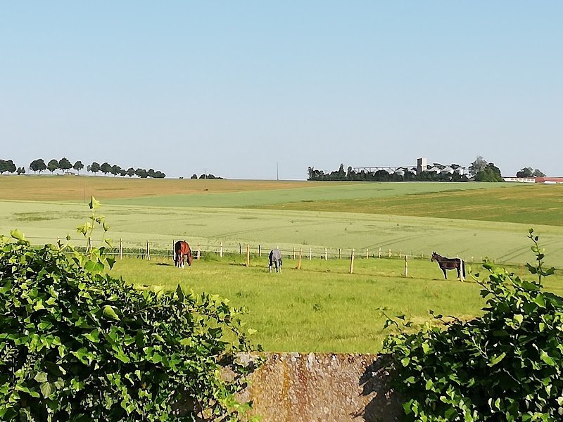 Haras des Cosmiques - photo 3