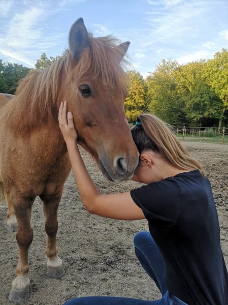 Sarl Centre Equestre de Boissy Fresnoy