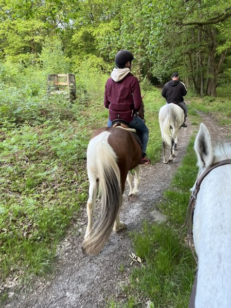 Sarl Centre Equestre de Boissy Fresnoy - photo 2