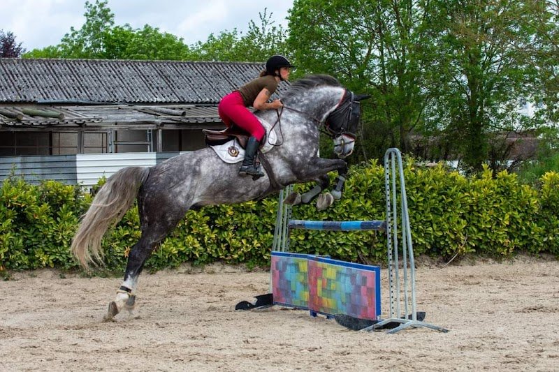 Les écuries d'Attilly - photo 3
