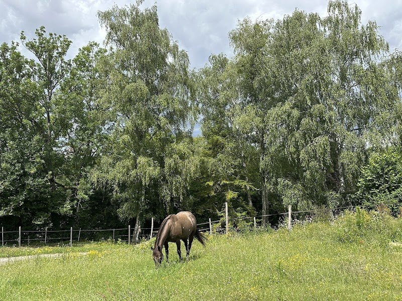 Gîte Equestre et Spa - photo 2