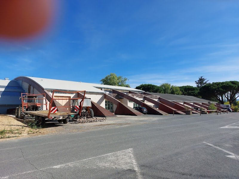 Centre Equestre Castres Borde Basse - photo 1