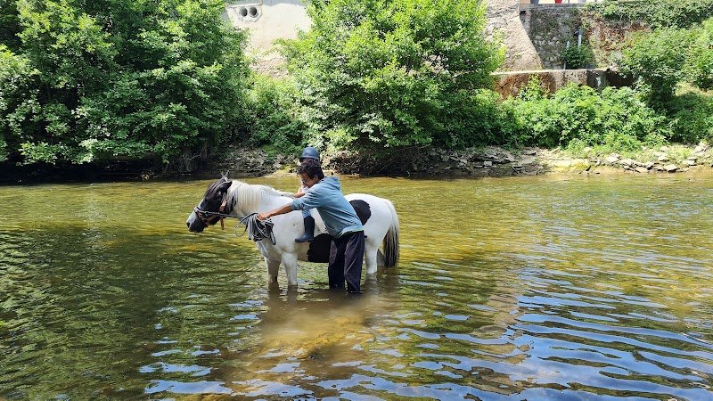 Centre Equestre Castres Borde Basse - photo 2