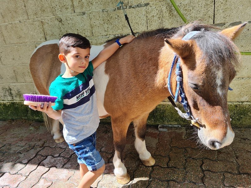 Centre Equestre Castres Borde Basse - photo 3