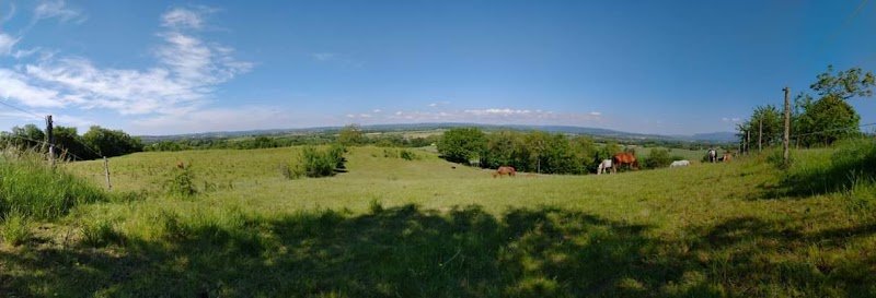 Les chevaux d'en Bel Air
