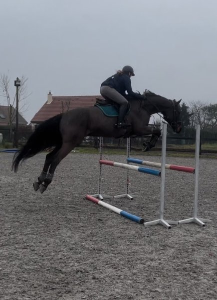 Écurie Florian Daudin - photo 3