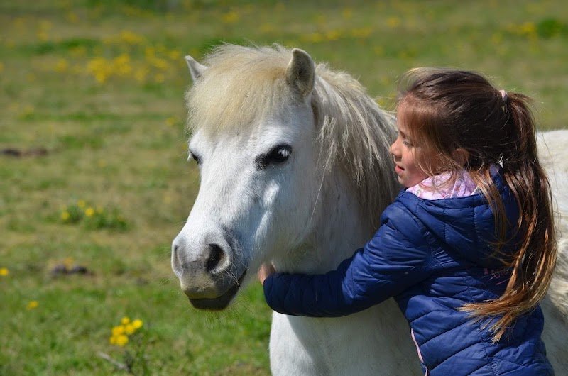 Centre equestre de Shamence - photo 2