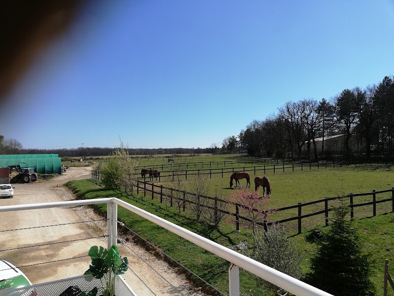 Cap cheval/Ecurie de l'Aurest