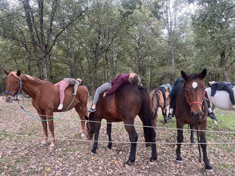 Cap cheval/Ecurie de l'Aurest - photo 2