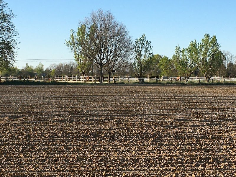 Ecuries Julie Valade - photo 3