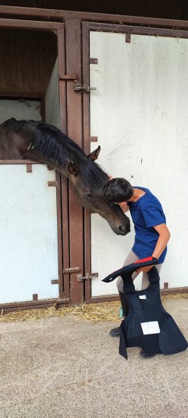 Ecurie Sylvain Frère Poney club de l'Honel - photo 2