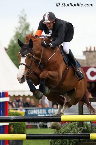 Ecurie Sylvain Frère Poney club de l'Honel - photo 3