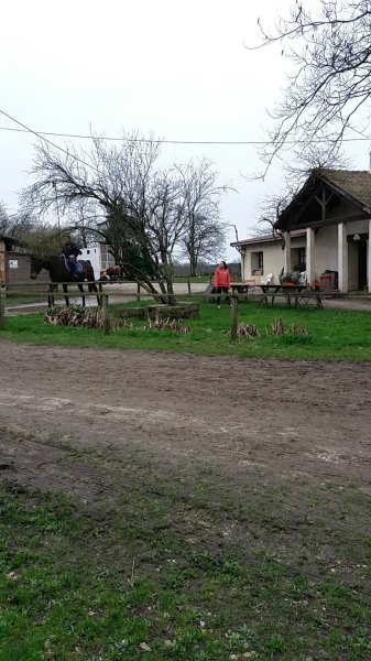 Les Écuries de St Selve - photo 3