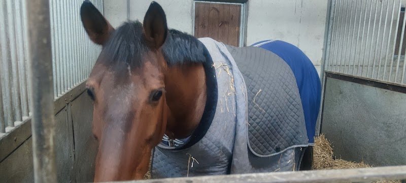 Ecurie Siauve-Loubaud - photo 2