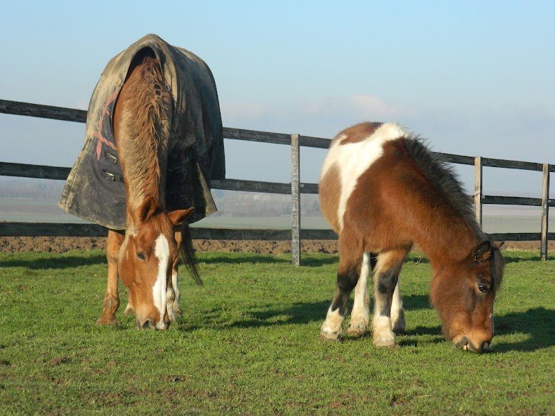 L' Abbaye des Quinze - Pension - photo 1