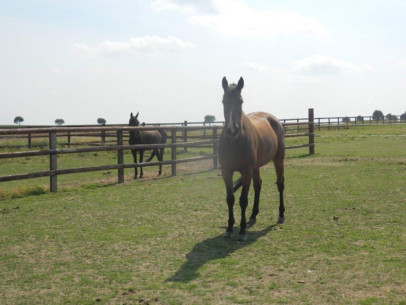 L' Abbaye des Quinze - Pension - photo 3