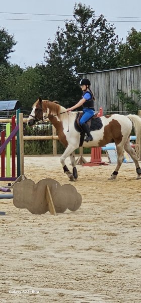 Les écuries de Neuville - photo 1