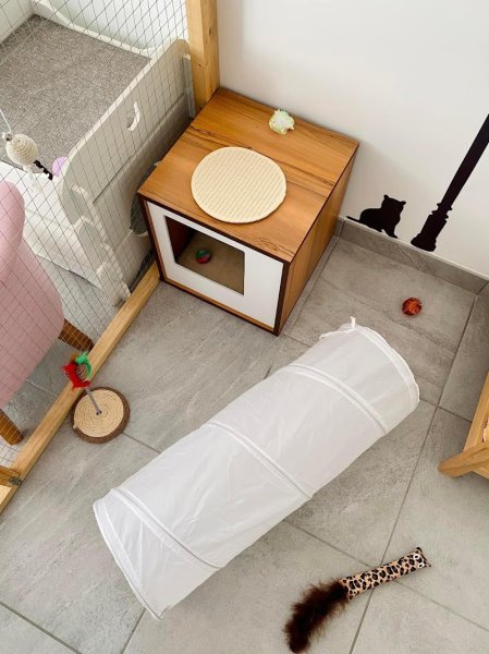 Pension Féline DéliCat'S - photo 3