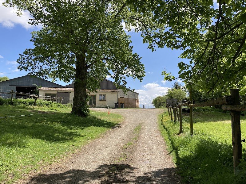 Ecurie Le Manège - photo 1