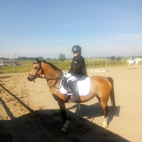 Les écuries Berthels, Chasse - photo 1