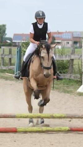 Les écuries Berthels, Chasse - photo 2