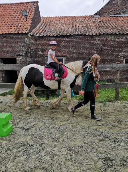 Pension pour chevaux - photo 3