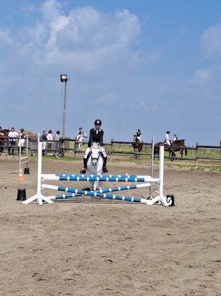 Les Écuries du Haut de Chapelle - photo 3