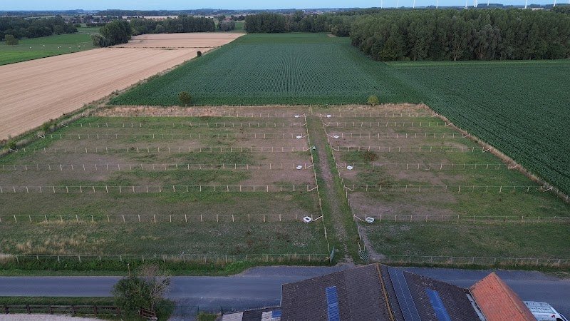 Écurie du Magic Horse - photo 3