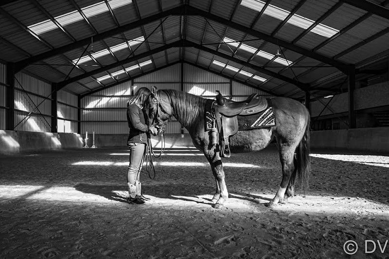 Horse Infinity - photo 1