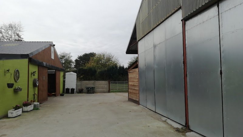 Horse Infinity - photo 2