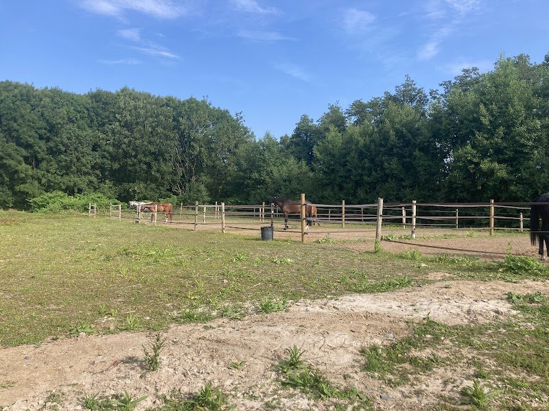 Écuries Real - photo 2