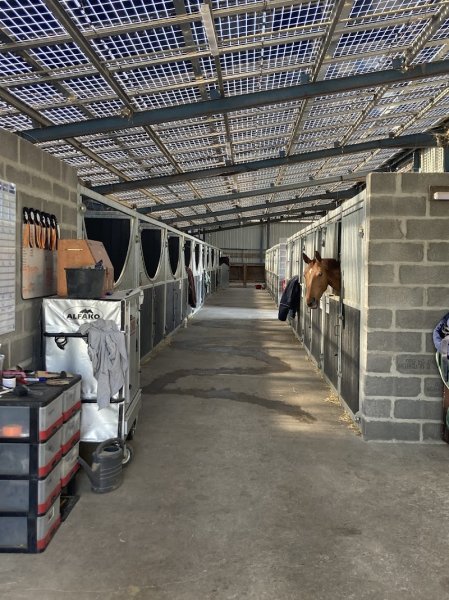 Écuries Real - photo 3