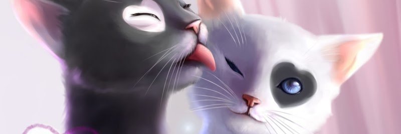 Pension féline nathacats