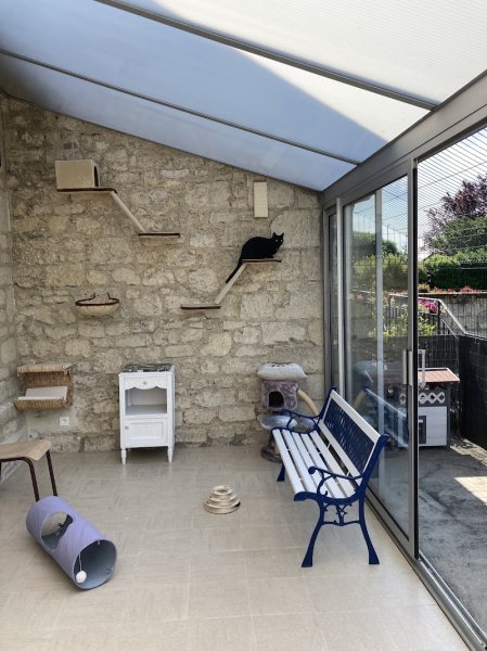 Pension féline nathacats - photo 3