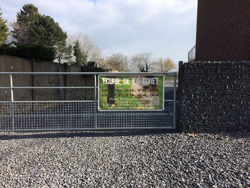 Écurie de la Forêt - photo 2