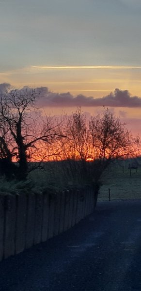 Écurie de la Forêt - photo 3