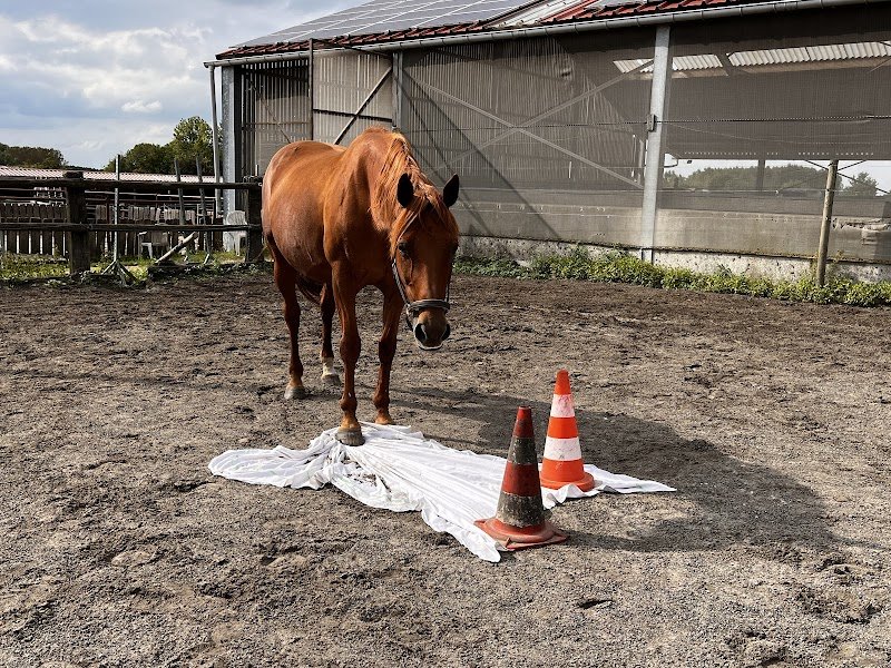 Les Ecuries De La Posterie