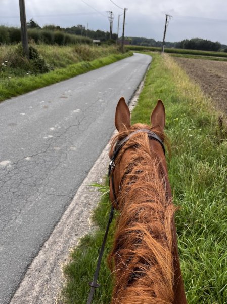 Les Ecuries De La Posterie - photo 3