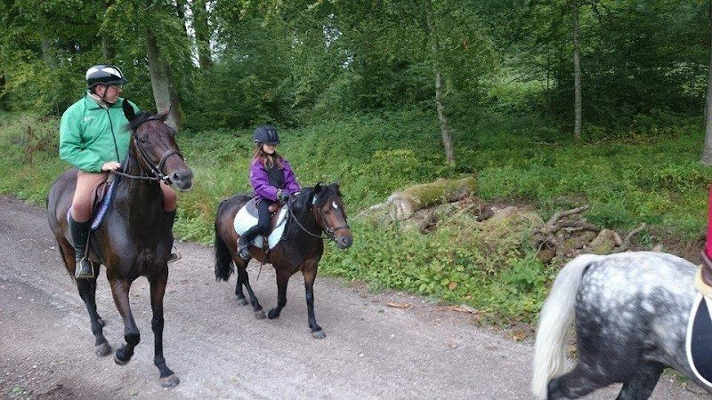 Club Hippique du Forest - photo 3