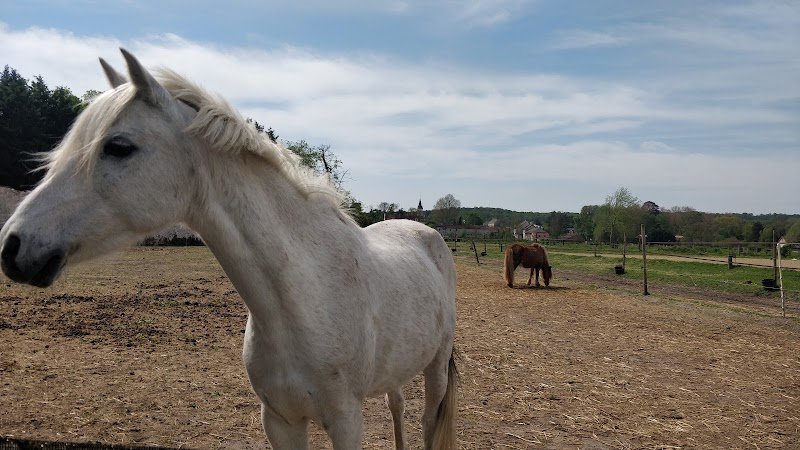 Centre équestre de Coye-la-foret