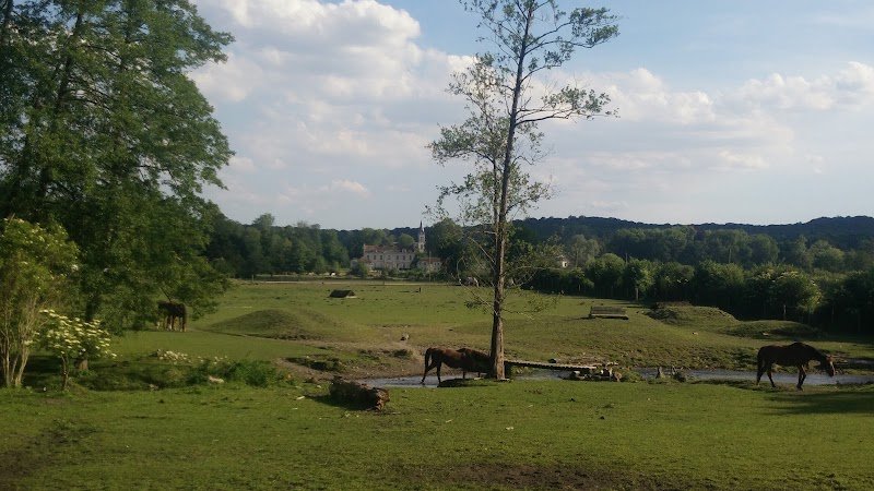 Centre équestre de Coye-la-foret - photo 3