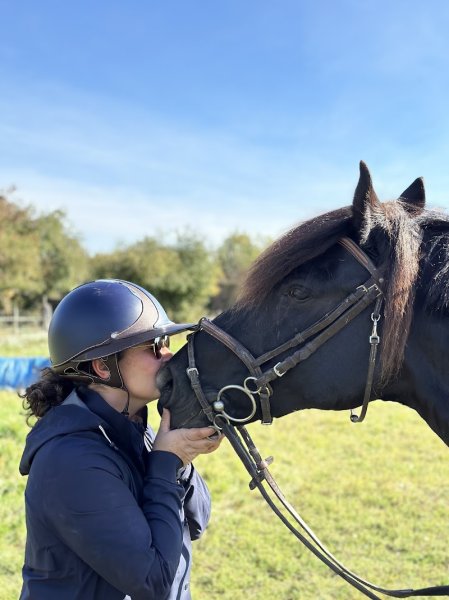 LD Stables - photo 2