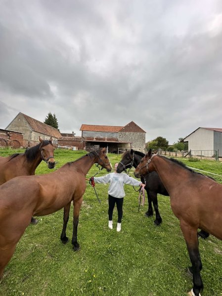 LD Stables - photo 3